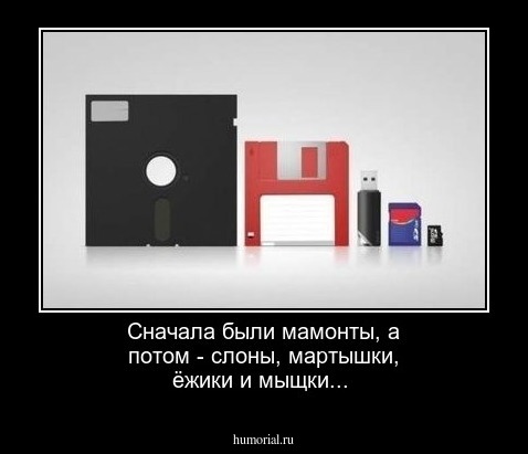 Сначала были мамонты, а потом - слоны, мартышки, ёжики и мыщки...