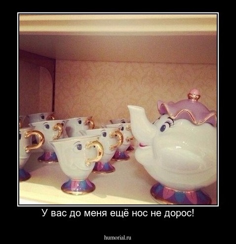 У вас до меня ещё нос не дорос!