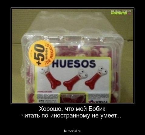 Хорошо, что мой Бобик читать по-иностранному не умеет...