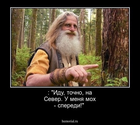  : "Иду, точно, на Север. У меня мох - спереди!"