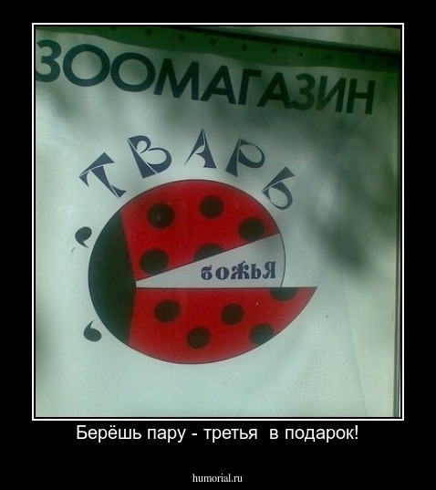 Берёшь пару - третья  в подарок!