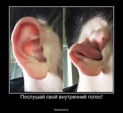Послушай свой внутренний голос!