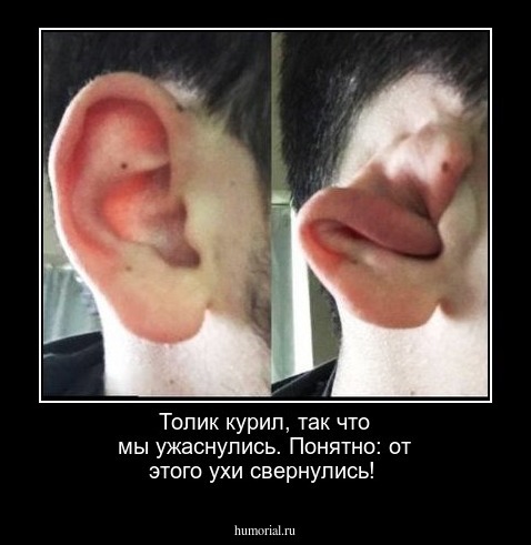  Толик курил, так что мы ужаснулись. Понятно: от этого ухи свернулись!
