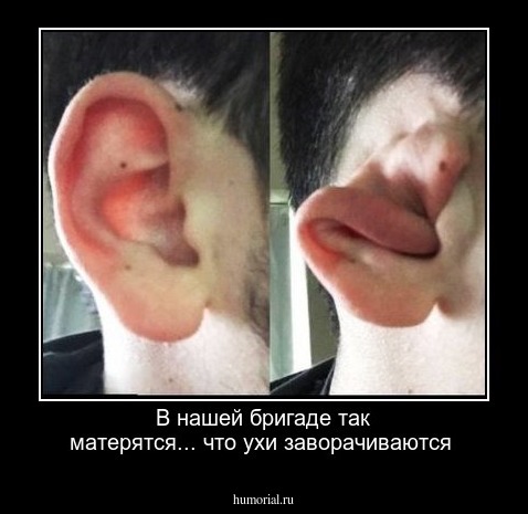 В нашей бригаде так матерятся... что ухи заворачиваются