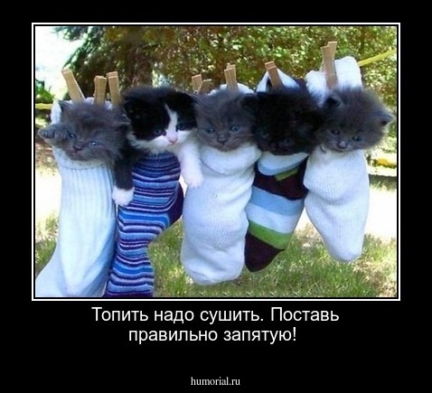  Топить надо  сушить. Поставь правильно запятую!