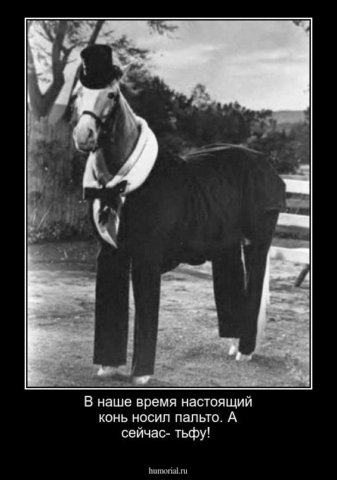 В наше время настоящий конь носил пальто. А сейчас- тьфу!