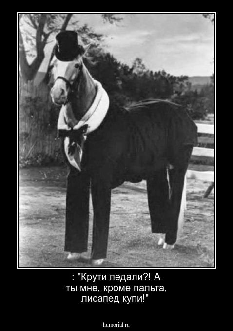 : "Крути педали?! А ты мне, кроме пальта, лисапед купи!"