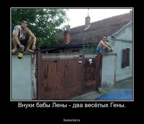 Внуки бабы Лены - два весёлых Гены.