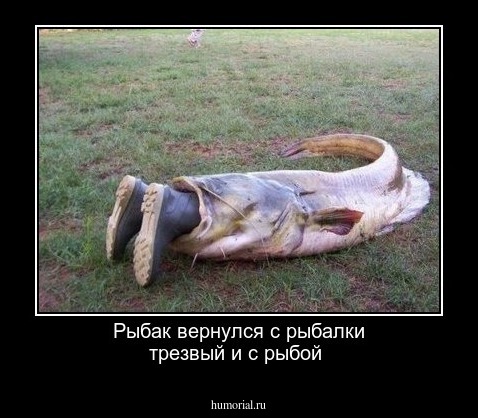 Рыбак вернулся с рыбалки трезвый и с рыбой