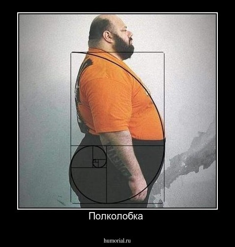 Полколобка 