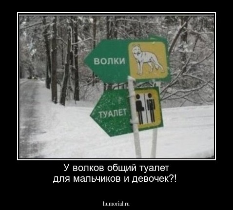 У волков общий туалет для мальчиков и девочек?!