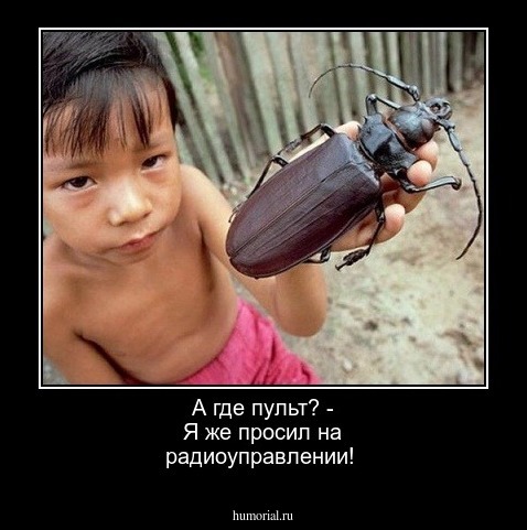 А где пульт? - Я же просил на радиоуправлении!