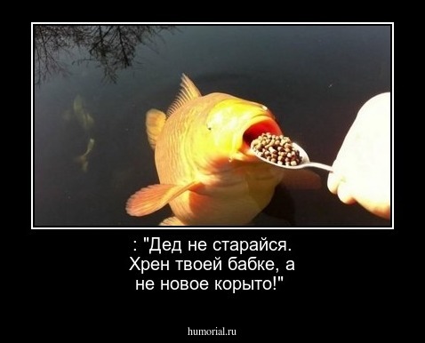  : "Дед не старайся.  Хрен твоей бабке, а не новое корыто!"