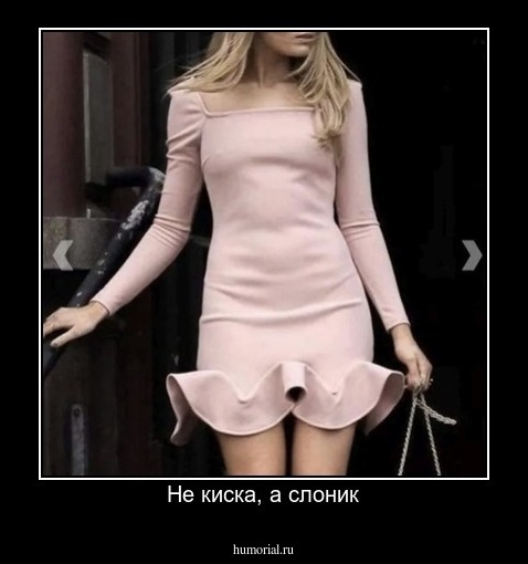 Не киска, а слоник