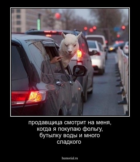 продавщица смотрит на меня, когда я покупаю фольгу, бутылку воды и много сладкого 