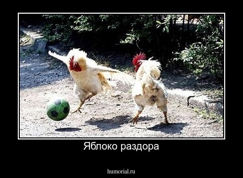 Яблоко раздора
