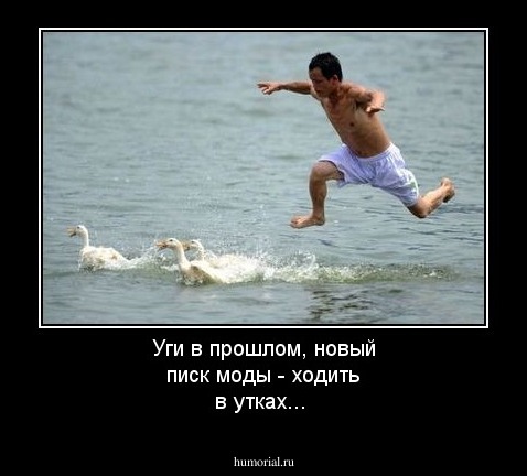 Уги в прошлом, новый писк моды - ходить в утках...