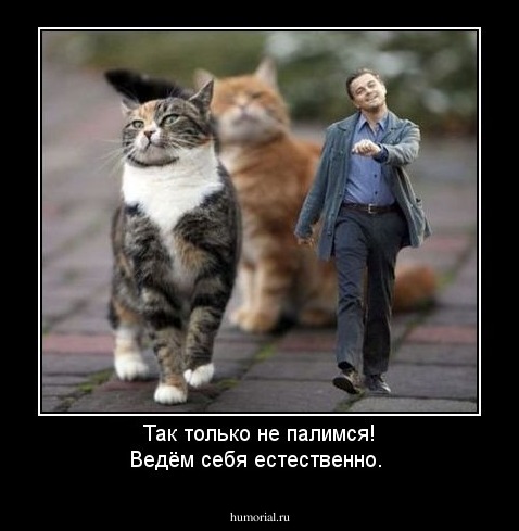 Так только не палимся! Ведём себя естественно.