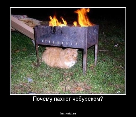 Почему пахнет чебуреком?