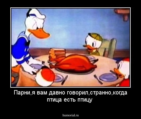 Парни,я вам давно говорил,странно,когда птица есть птицу