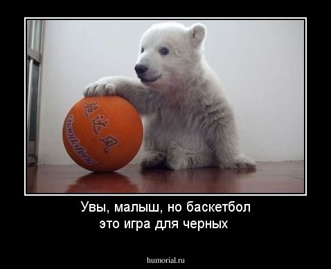 Увы, малыш, но баскетбол это игра для черных