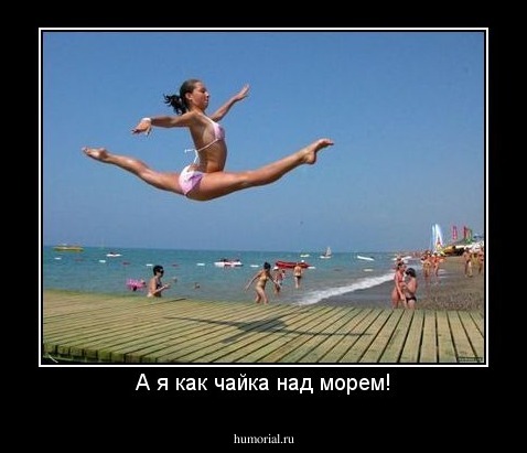 А я как чайка над морем!