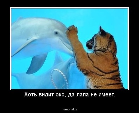 Хоть видит око, да лапа не имеет.