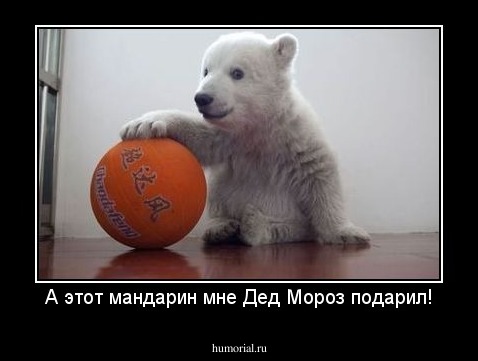 А этот мандарин мне Дед Мороз подарил!