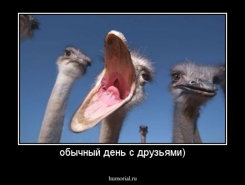 обычный день с друзьями)
