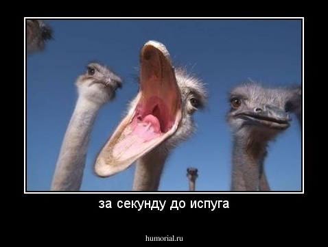 за секунду до испуга
