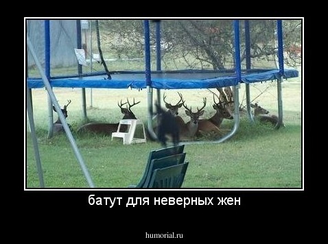 батут для неверных жен