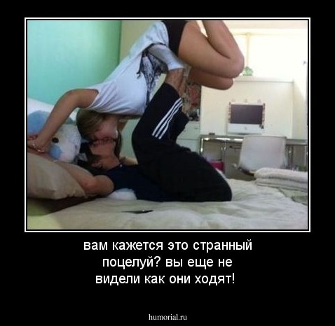 вам кажется это странный поцелуй? вы еще не видели как они ходят!