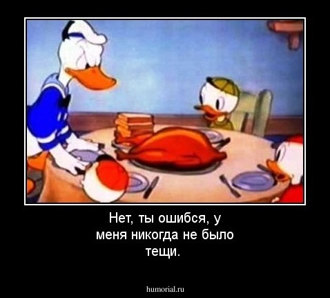 Нет, ты ошибся, у меня никогда не было тещи.