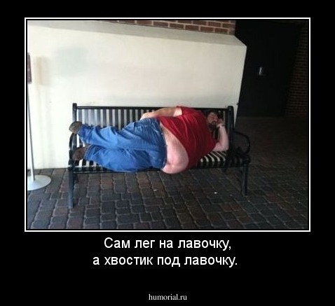 Сам лег на лавочку, а хвостик под лавочку.