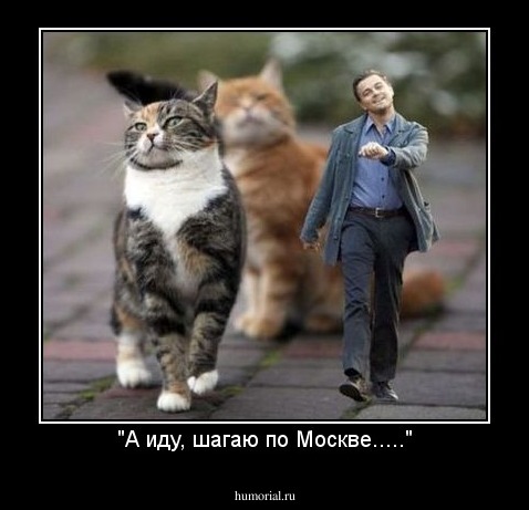 "А иду, шагаю по Москве....."