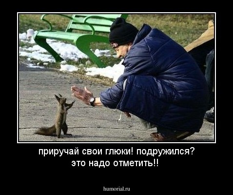 приручай свои глюки! подружился? это надо отметить!!