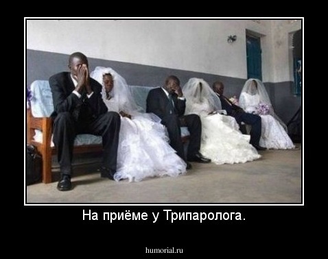 На приёме у Трипаролога.