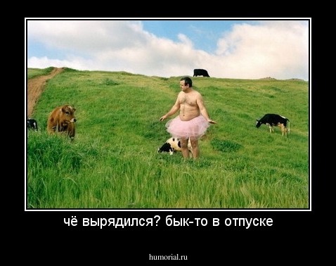 чё вырядился? бык-то в отпуске