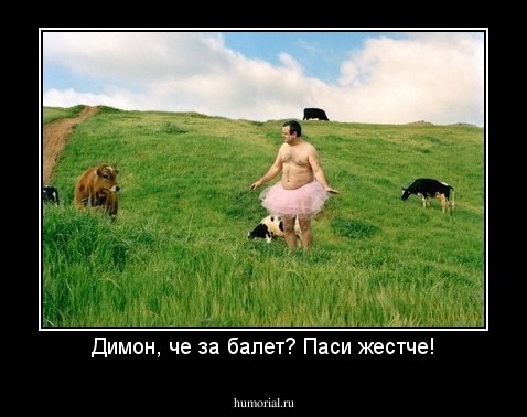 Димон, че за балет? Паси жестче!