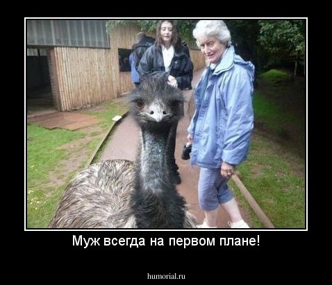 Муж всегда на первом плане!