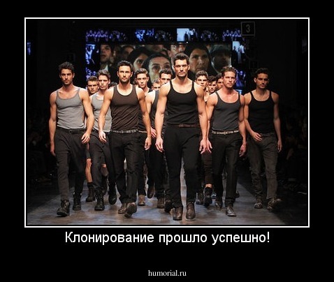 Клонирование прошло успешно!