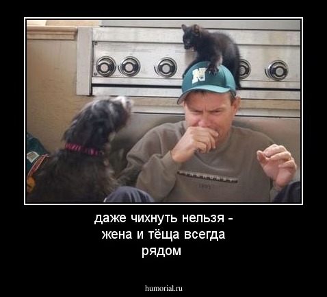 даже чихнуть нельзя - жена и тёща всегда рядом