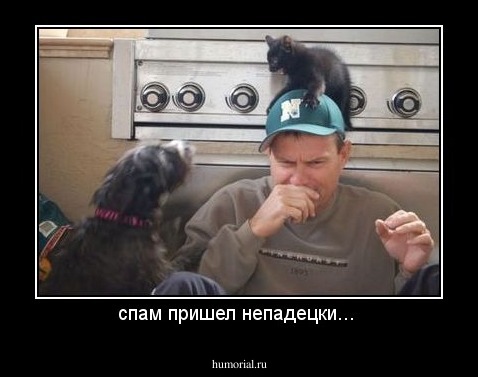 спам пришел непадецки... 