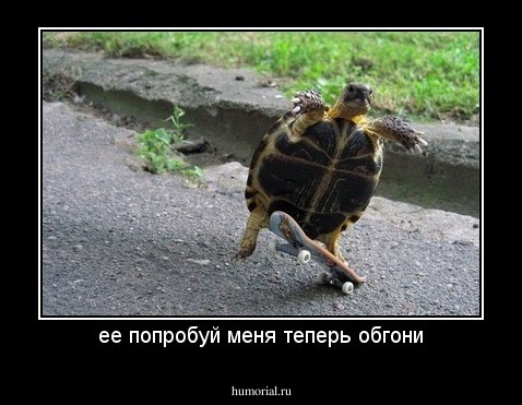 ее попробуй меня теперь обгони