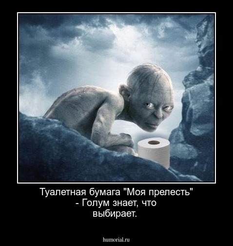 Туалетная бумага "Моя прелесть" - Голум знает, что выбирает.