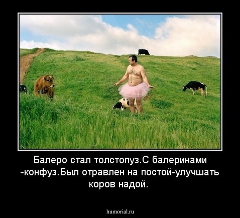 Балеро стал толстопуз.С балеринами -конфуз.Был отравлен на постой-улучшать коров надой.
