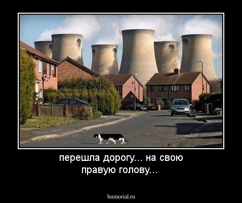 перешла дорогу... на свою правую голову...