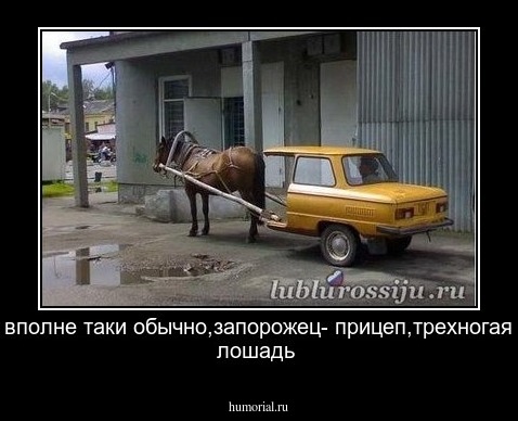 вполне таки обычно,запорожец- прицеп,трехногая лошадь