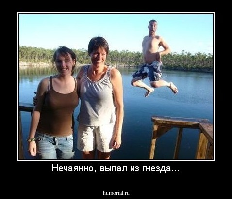 Нечаянно, выпал из гнезда...