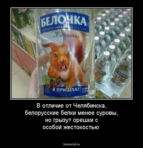 В отличие от Челябинска, белорусские белки менее суровы, но грызут орешки с особой жестокостью